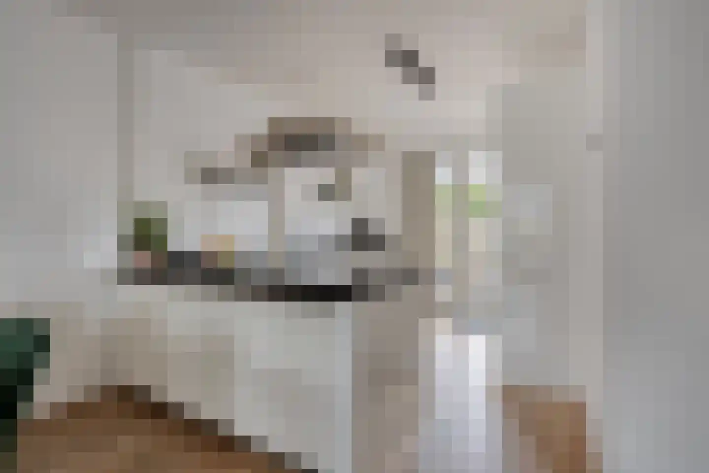 Koelgoorn 23 Diever thumbnail 13