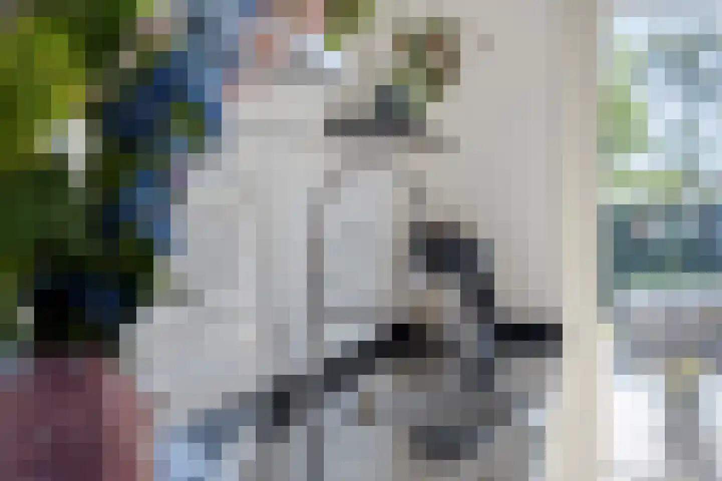 Koelgoorn 23 Diever thumbnail 14