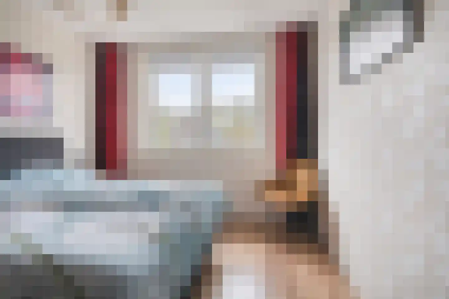 Koelgoorn 23 Diever thumbnail 17