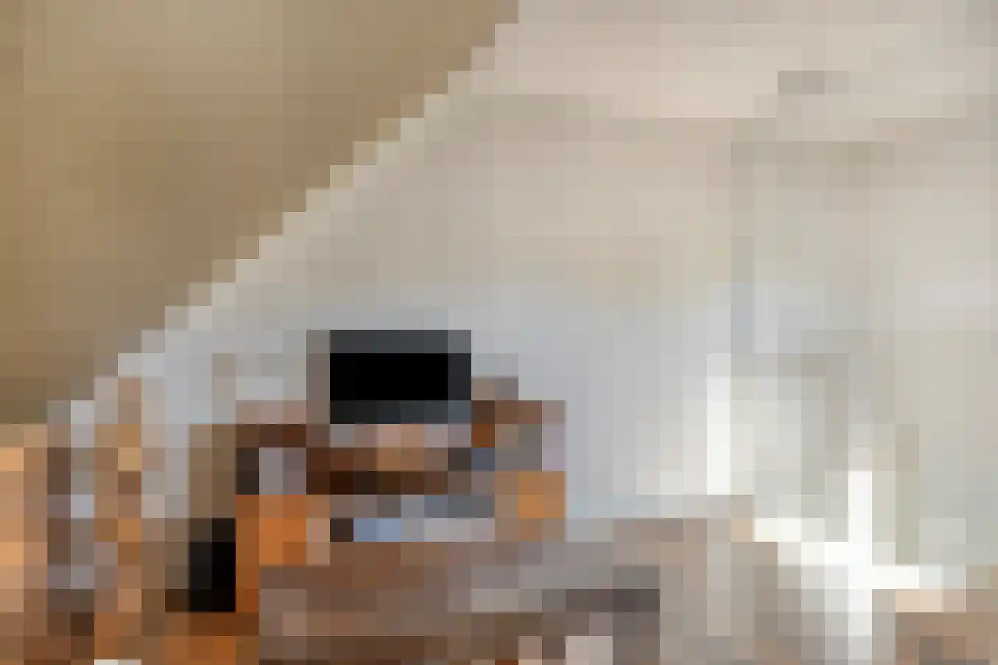 Koelgoorn 23 Diever thumbnail 23