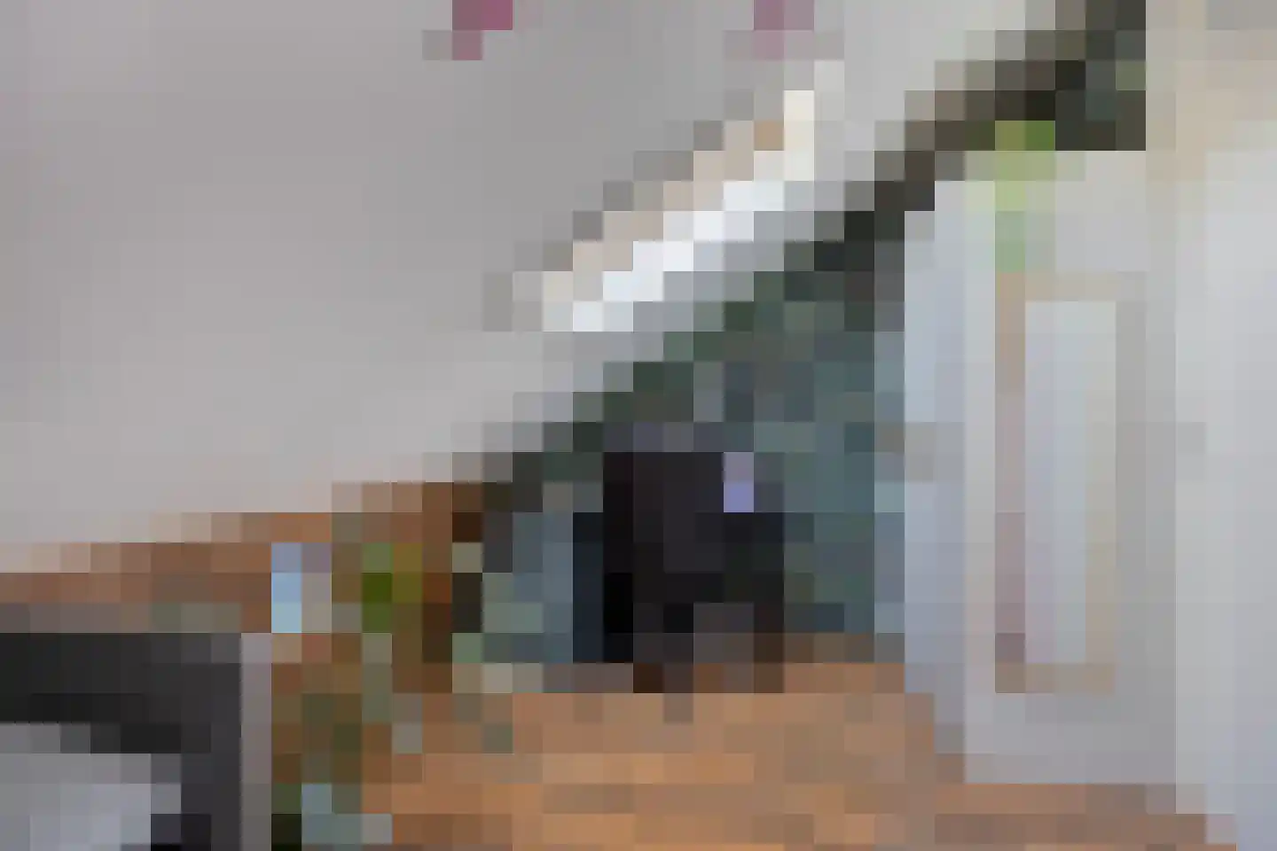 Koelgoorn 23 Diever thumbnail 25