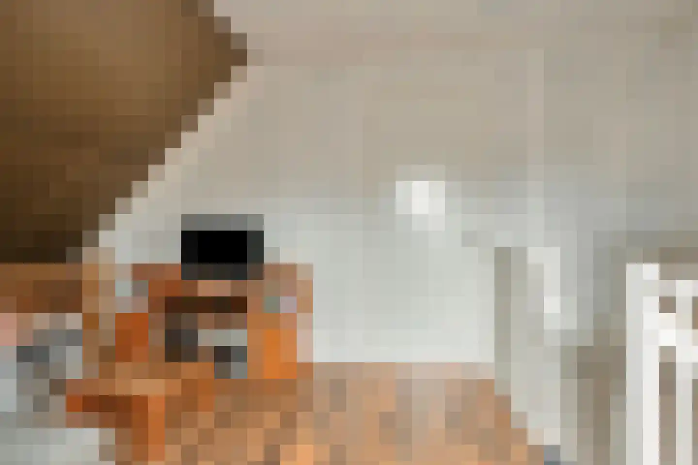 Koelgoorn 23 Diever thumbnail 25
