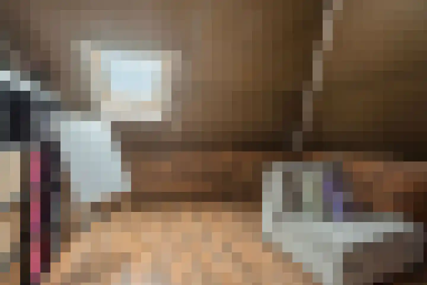 Koelgoorn 23 Diever thumbnail 26