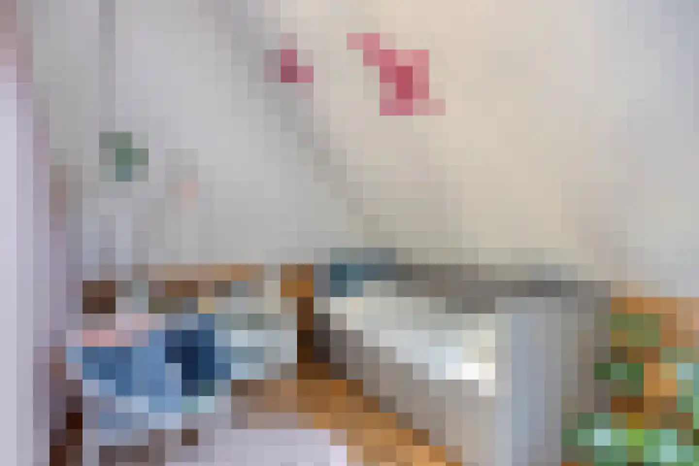 Koelgoorn 23 Diever thumbnail 26