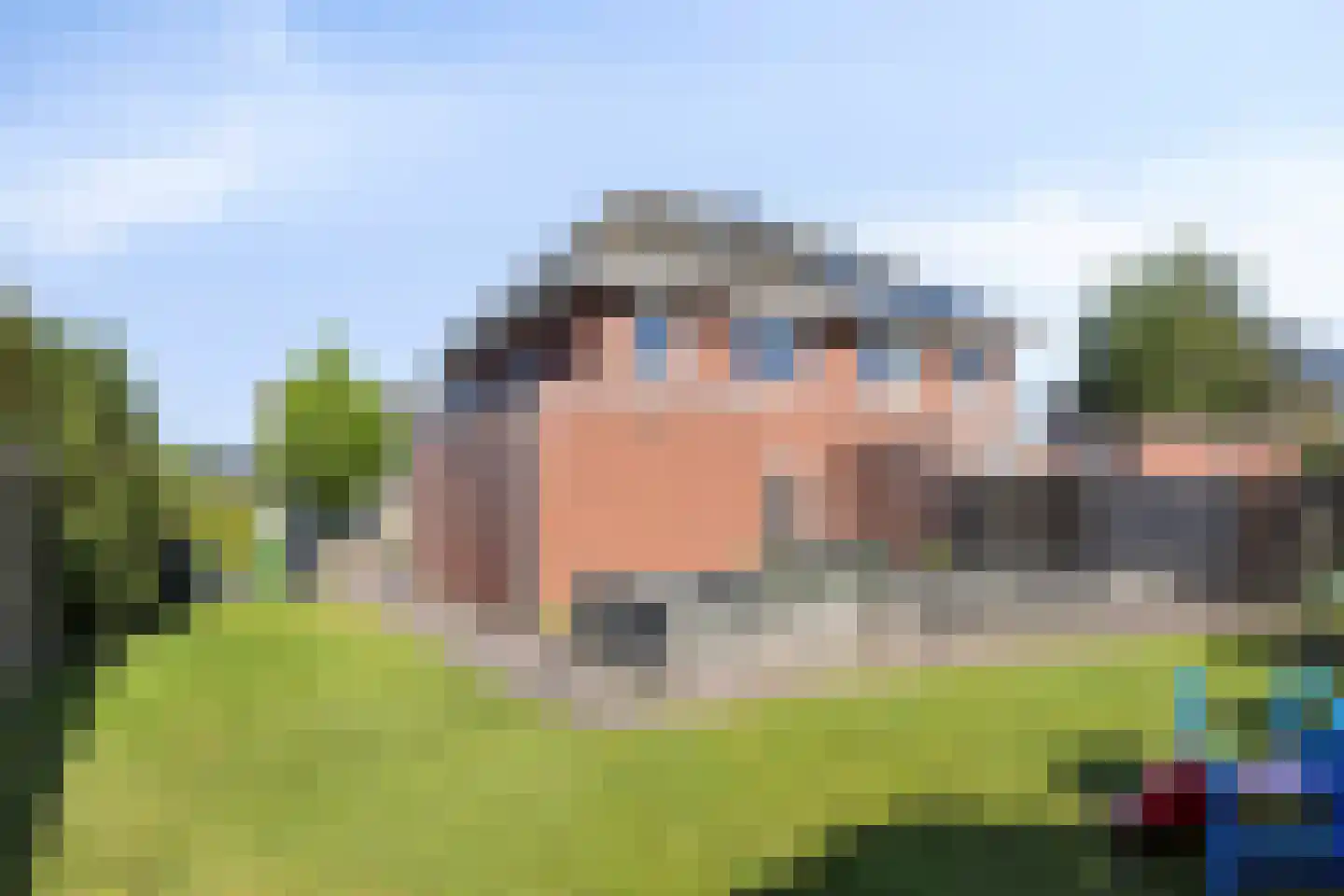 Koelgoorn 23 Diever thumbnail 29