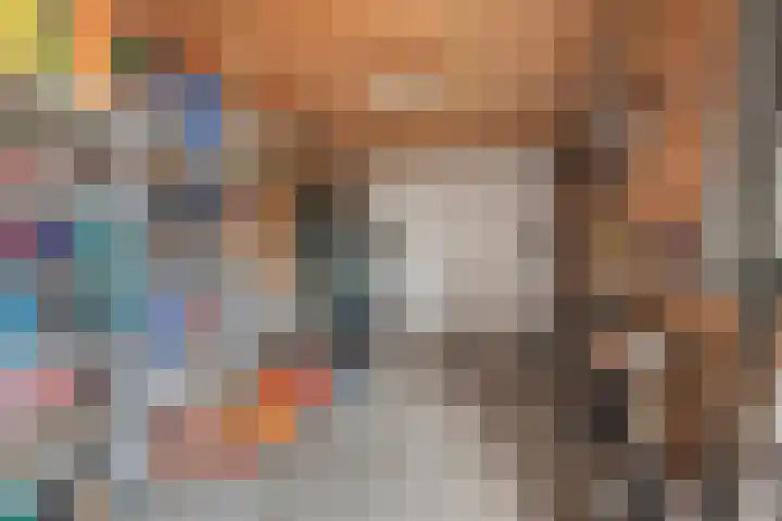 Koelgoorn 23 Diever thumbnail 30