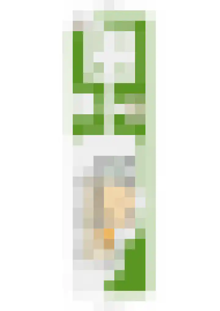 Koelgoorn 23 Diever thumbnail 31