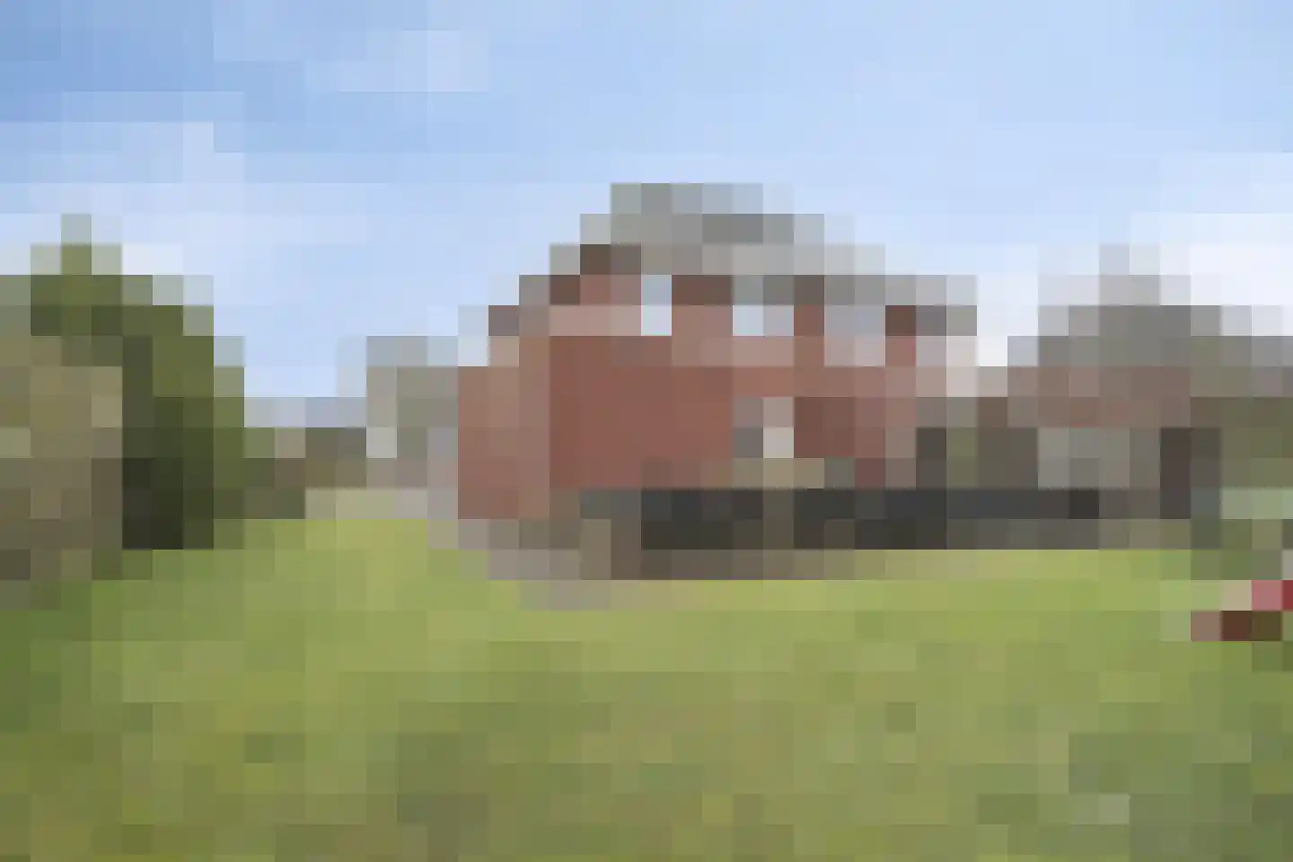 Koelgoorn 23 Diever thumbnail 32