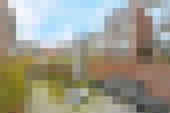Koelgoorn 23 Diever thumbnail 33