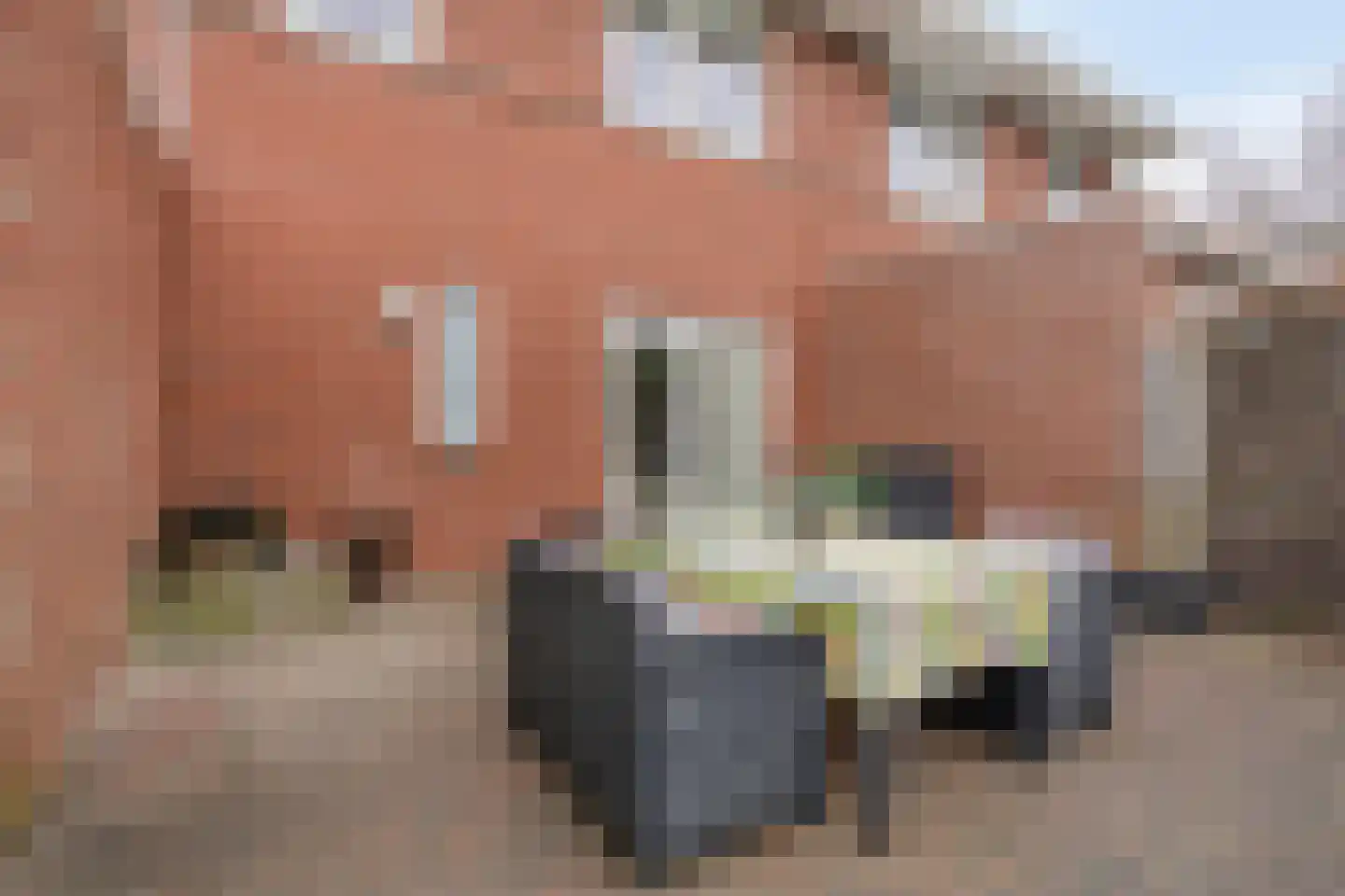 Koelgoorn 23 Diever thumbnail 33