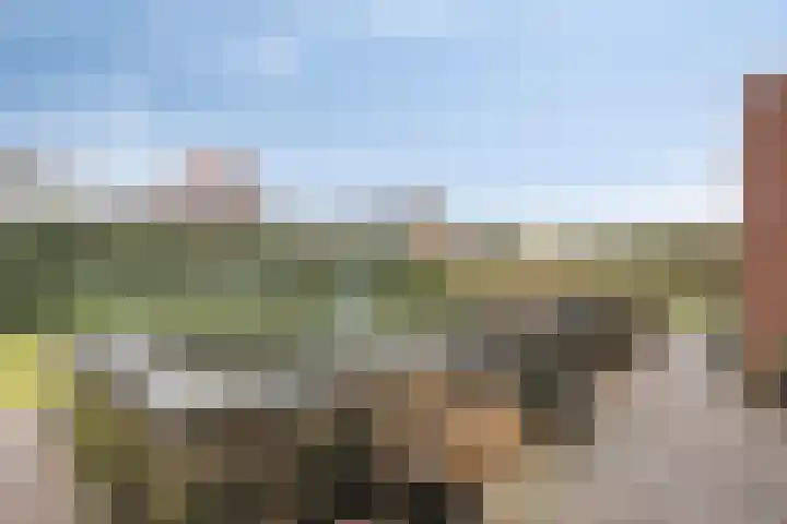 Koelgoorn 23 Diever thumbnail 34
