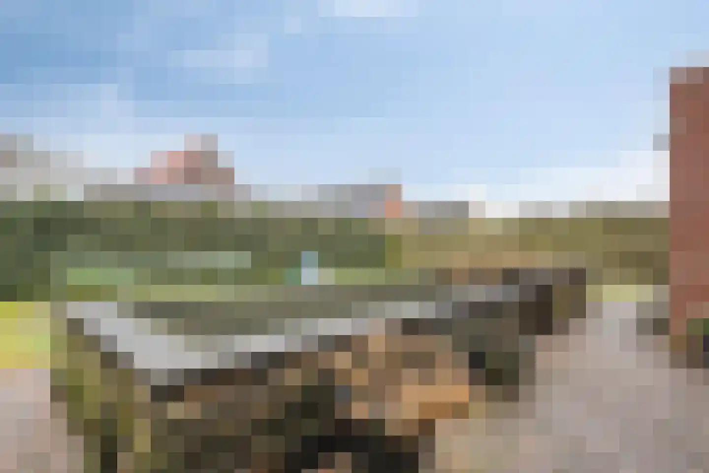 Koelgoorn 23 Diever thumbnail 34