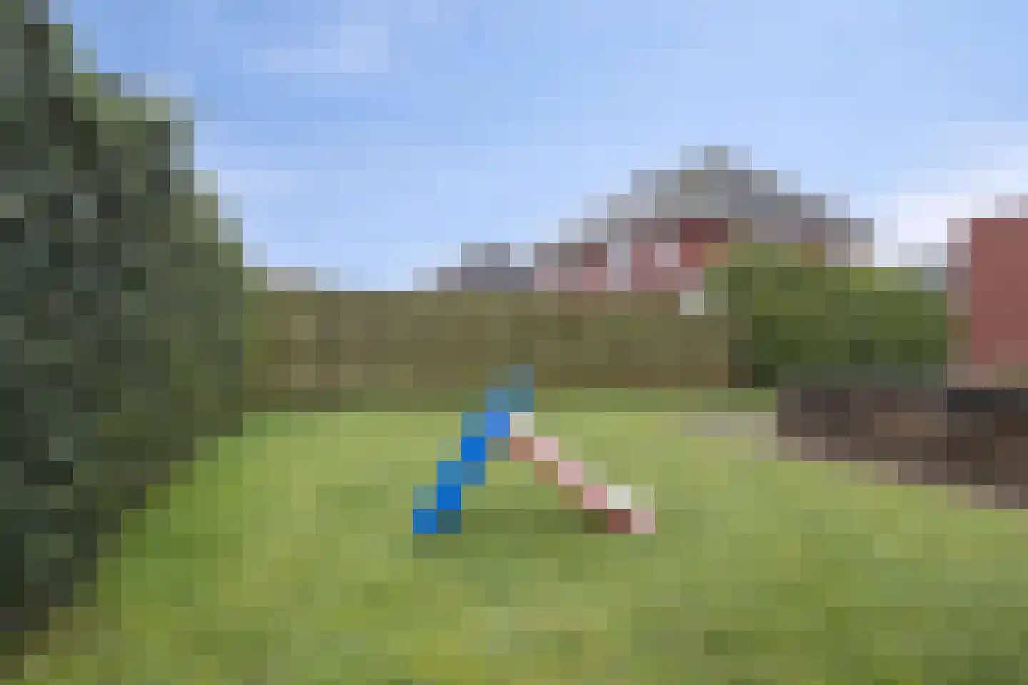 Koelgoorn 23 Diever thumbnail 35