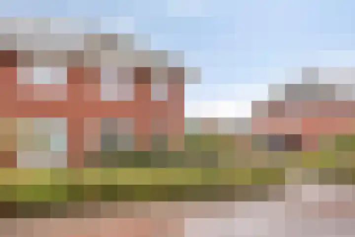Koelgoorn 23 Diever thumbnail 37