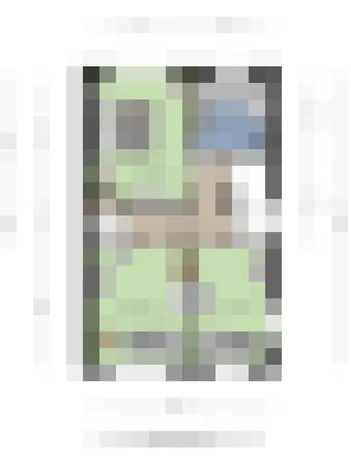 Koelgoorn 23 Diever thumbnail 39