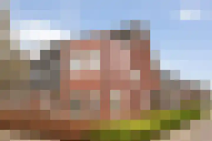 Koelgoorn 44 Diever