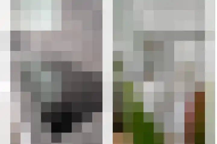 Koelgoorn 44 Diever thumbnail 10