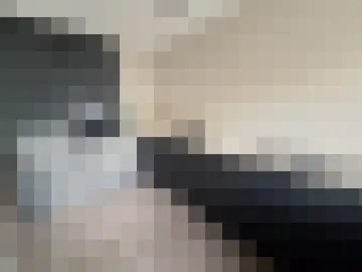 Koelgoorn 44 Diever thumbnail 12