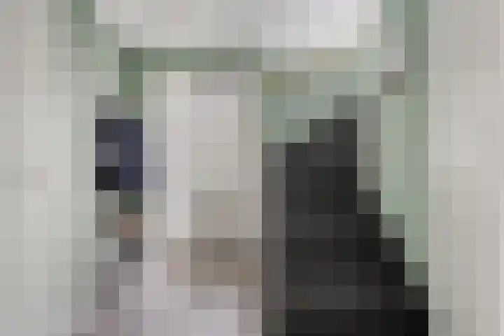 Koelgoorn 44 Diever thumbnail 12