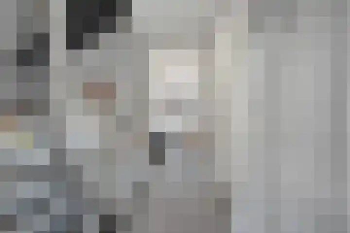 Koelgoorn 44 Diever thumbnail 16