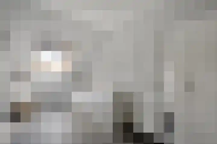 Koelgoorn 44 Diever thumbnail 19
