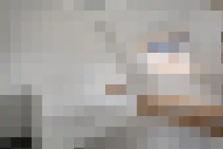 Koelgoorn 44 Diever thumbnail 21