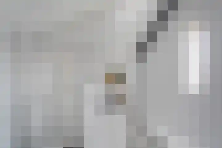 Koelgoorn 44 Diever thumbnail 27