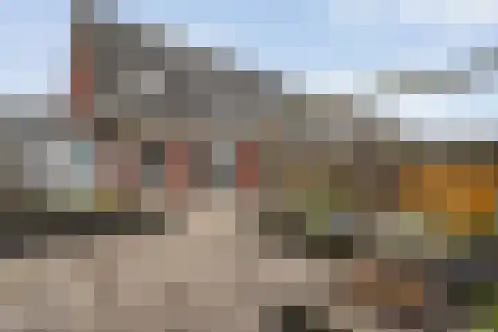 Koelgoorn 44 Diever thumbnail 32