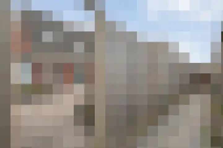 Koelgoorn 44 Diever thumbnail 35