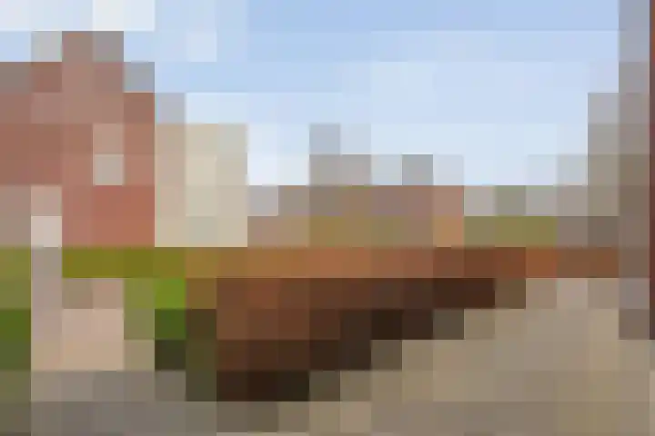 Koelgoorn 44 Diever thumbnail 37