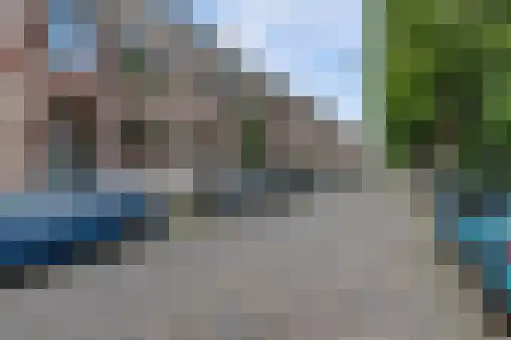 Koelgoorn 44 Diever thumbnail 39