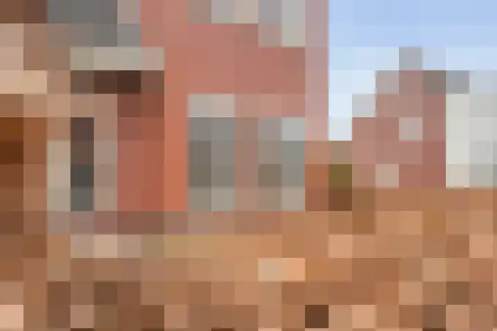 Koelgoorn 44 Diever thumbnail 39
