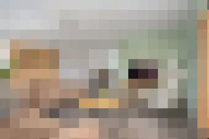 Koelgoorn 44 Diever thumbnail 4