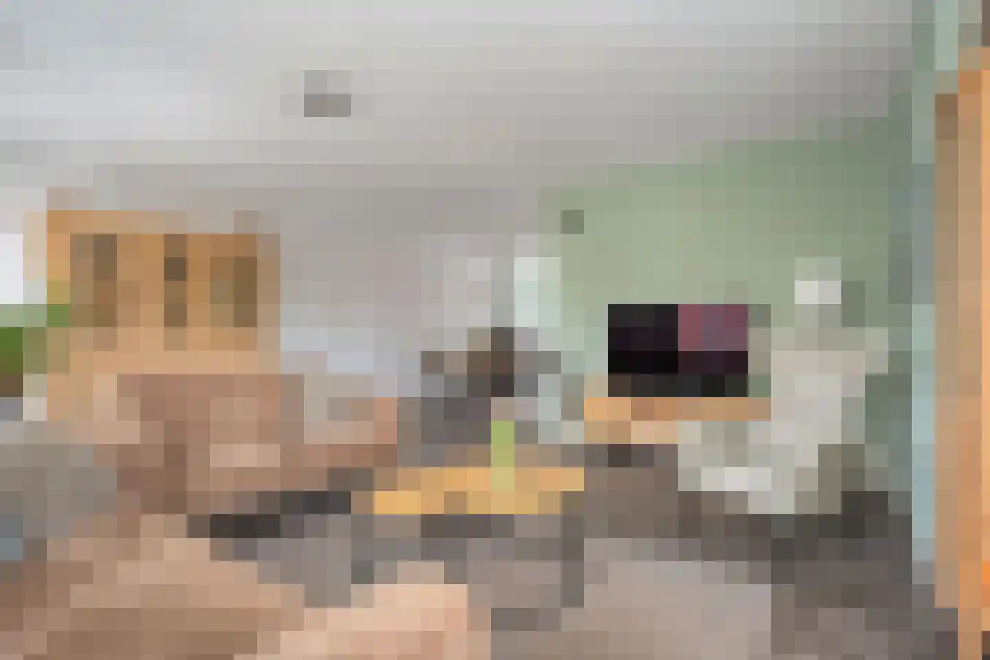 Koelgoorn 44 Diever thumbnail 4