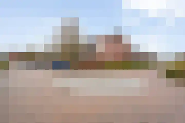 Koelgoorn 44 Diever thumbnail 41