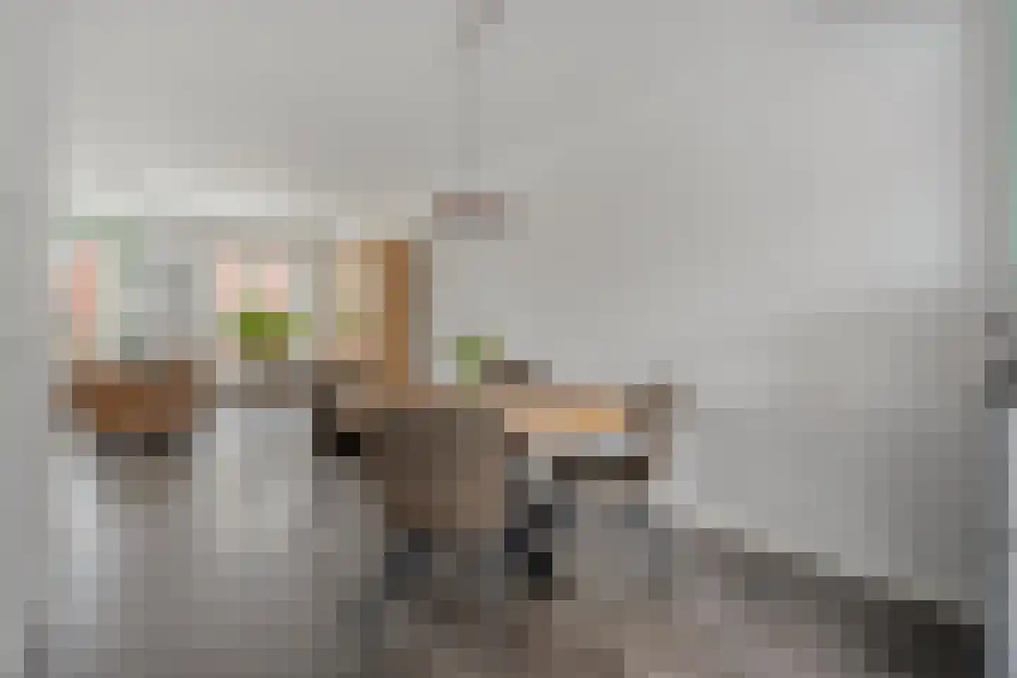 Koelgoorn 44 Diever thumbnail 7