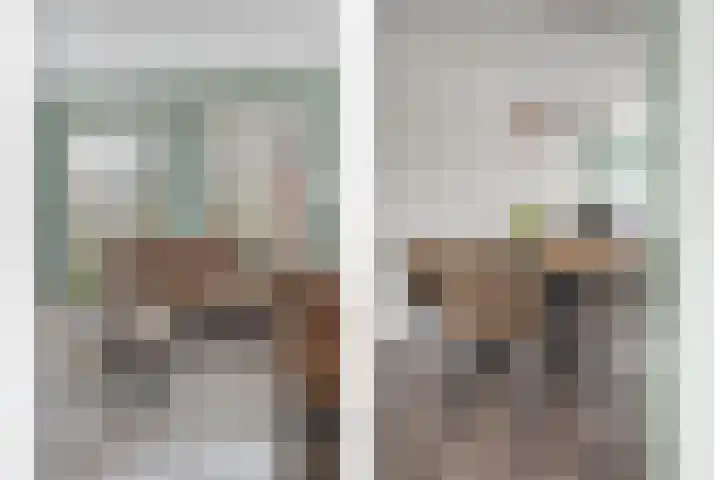 Koelgoorn 44 Diever thumbnail 8