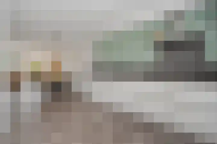 Koelgoorn 44 Diever thumbnail 9
