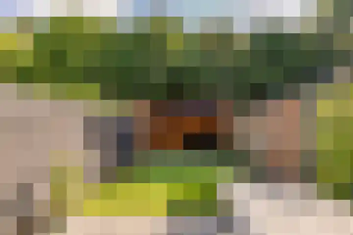 Koelhorst 14 Ede thumbnail 27