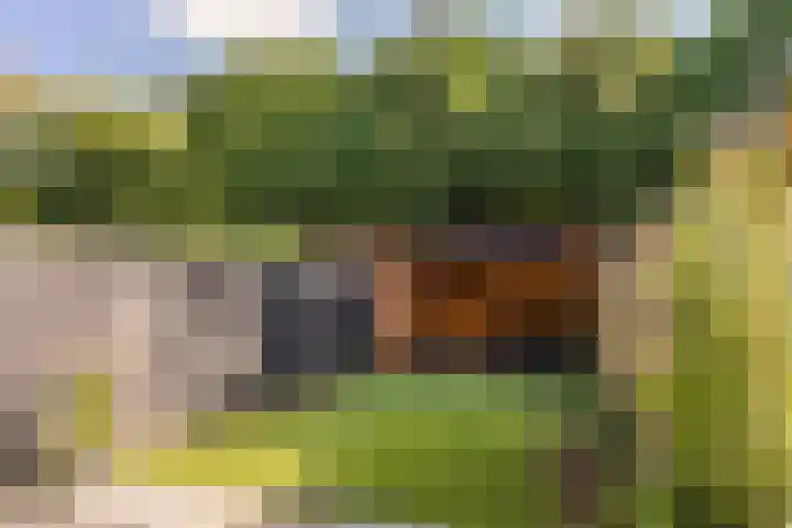 Koelhorst 14 Ede thumbnail 28
