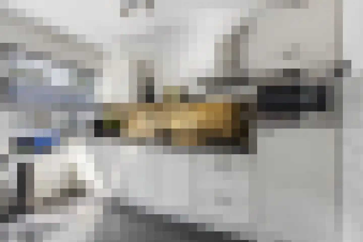 Koelhorst 23 Ede thumbnail 10