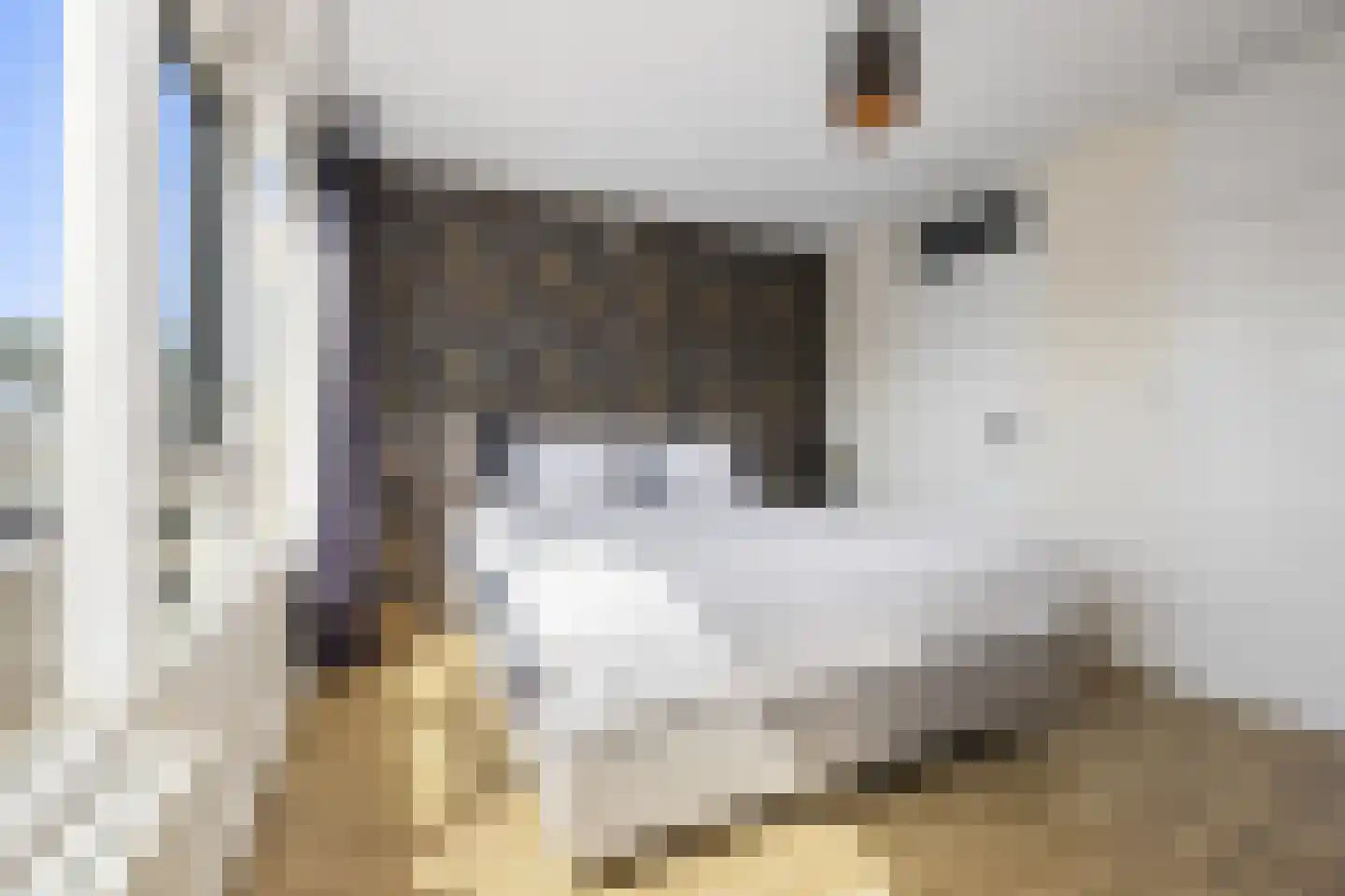 Koelhorst 23 Ede thumbnail 20
