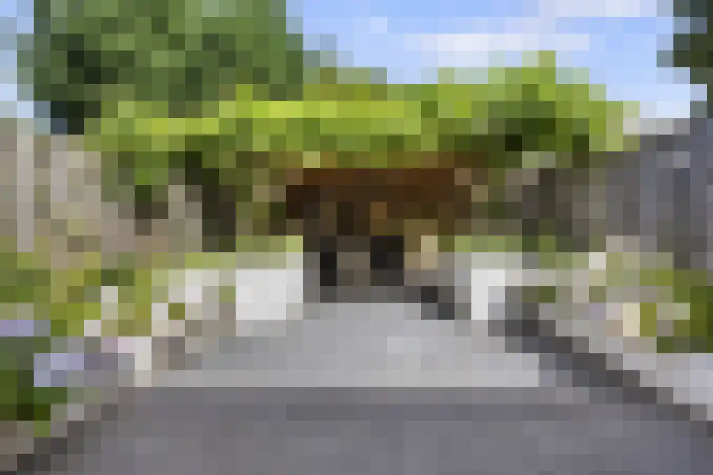 Koelhorst 23 Ede thumbnail 27