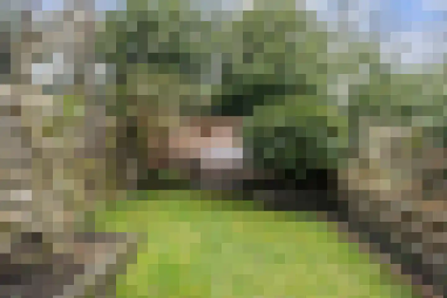 Koelhorst 28 Ede thumbnail 29
