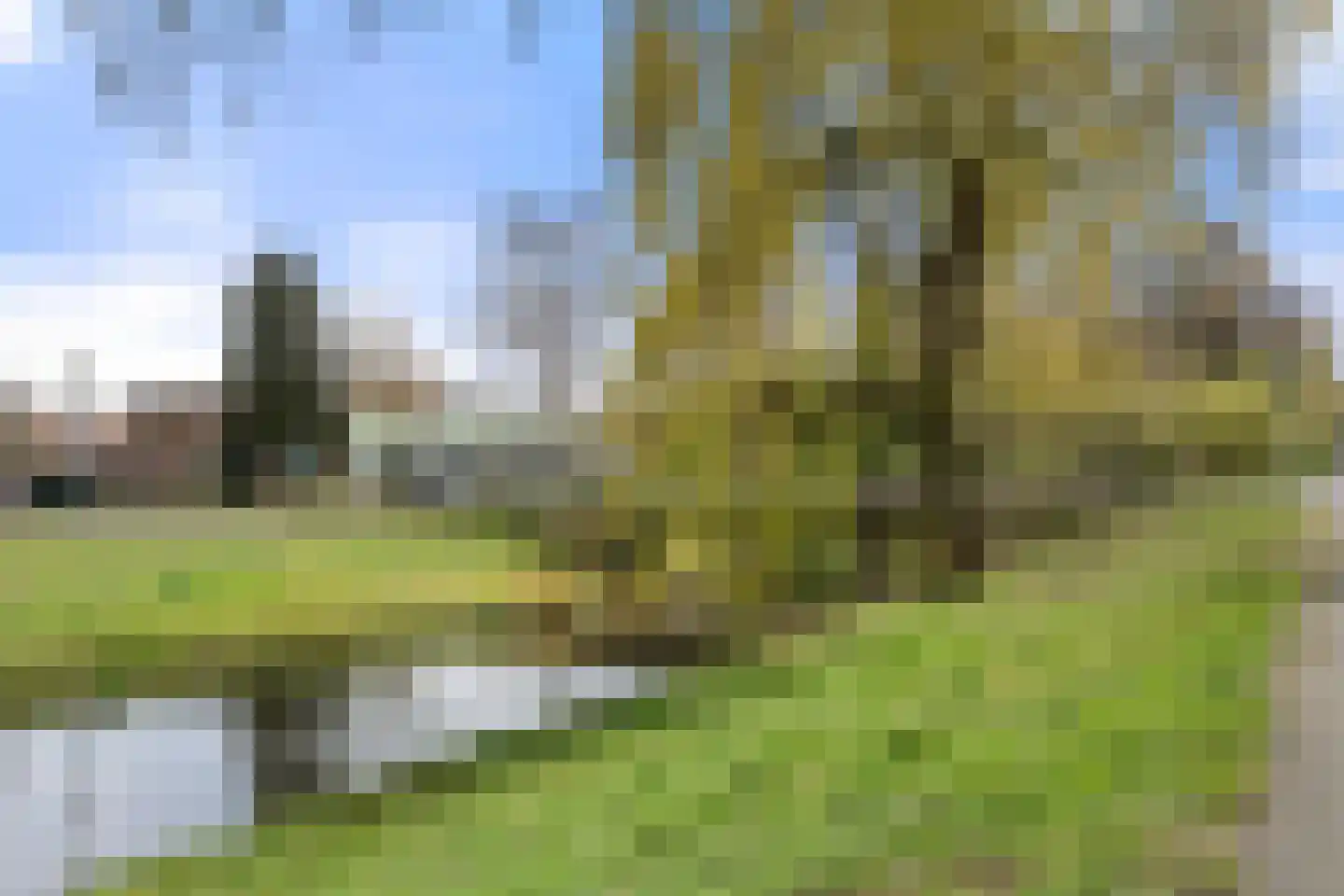 Koelhorst 28 Ede thumbnail 35