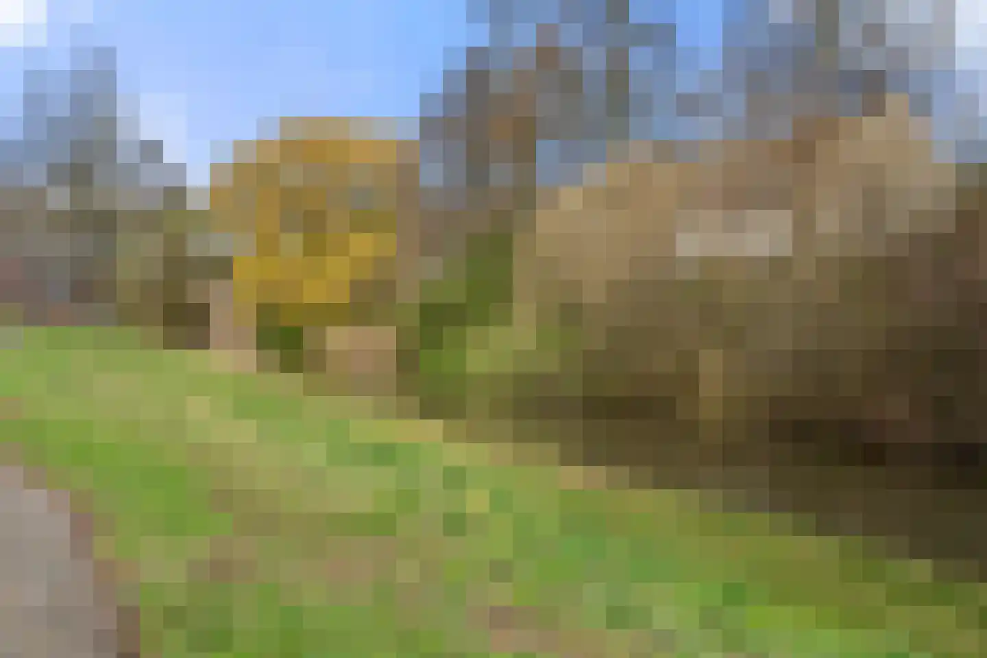 Koelhorst 28 Ede thumbnail 36