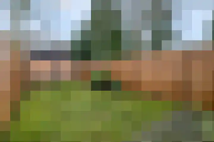 Koelhorst 31 Ede thumbnail 31