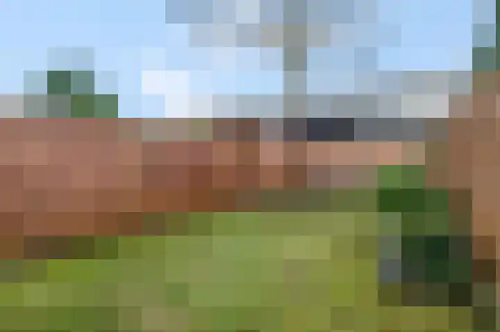 Koelhorst 31 Ede thumbnail 32