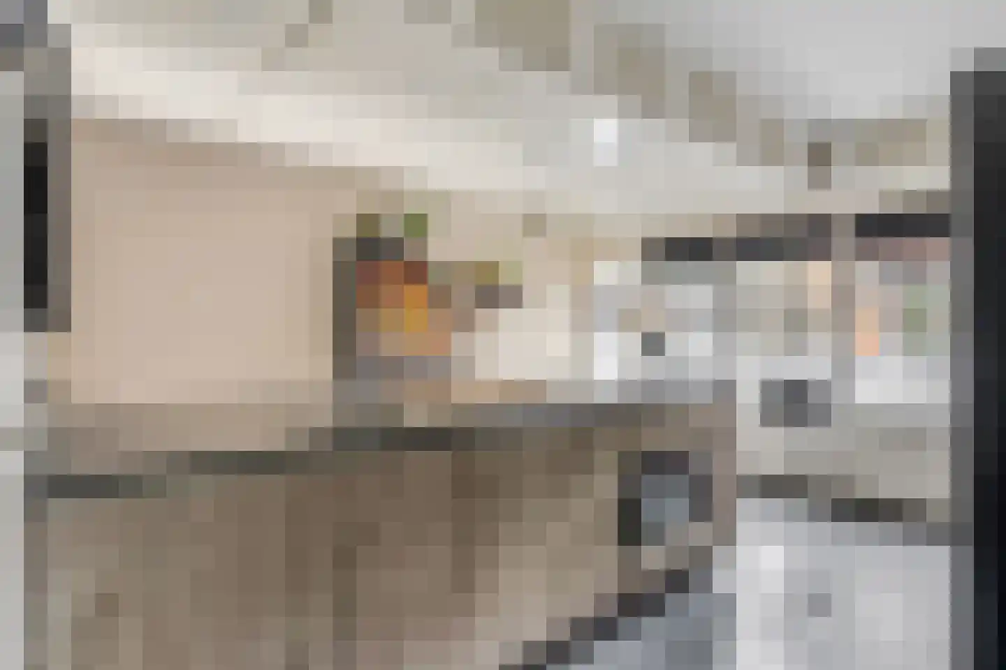 Koelhorst 32 Ede thumbnail 4