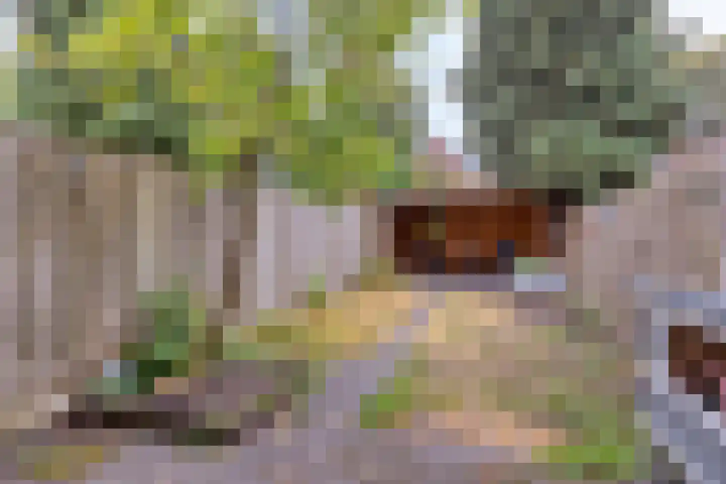 Koelhorst 34 Ede thumbnail 25